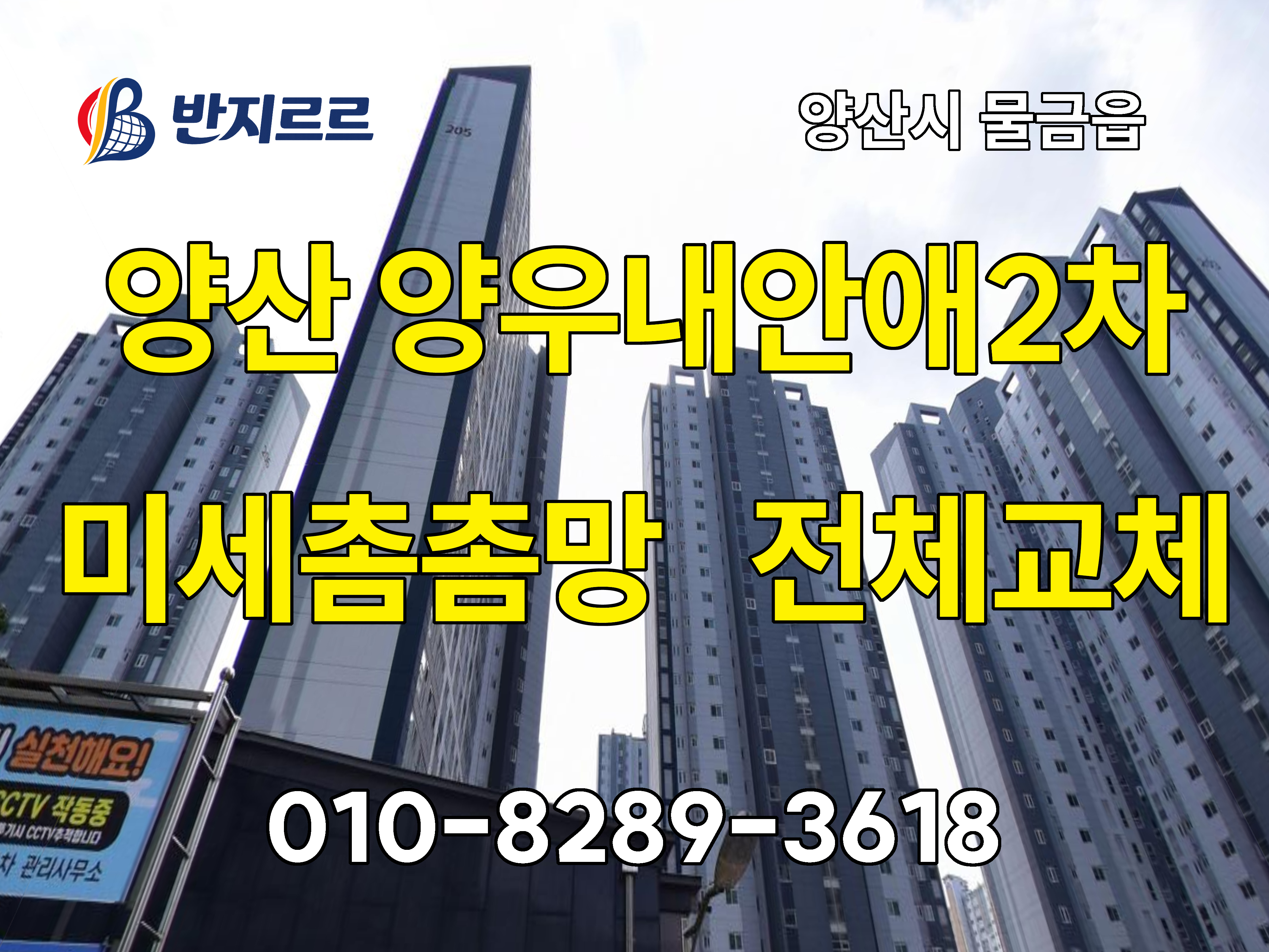 반지르르_01.jpg